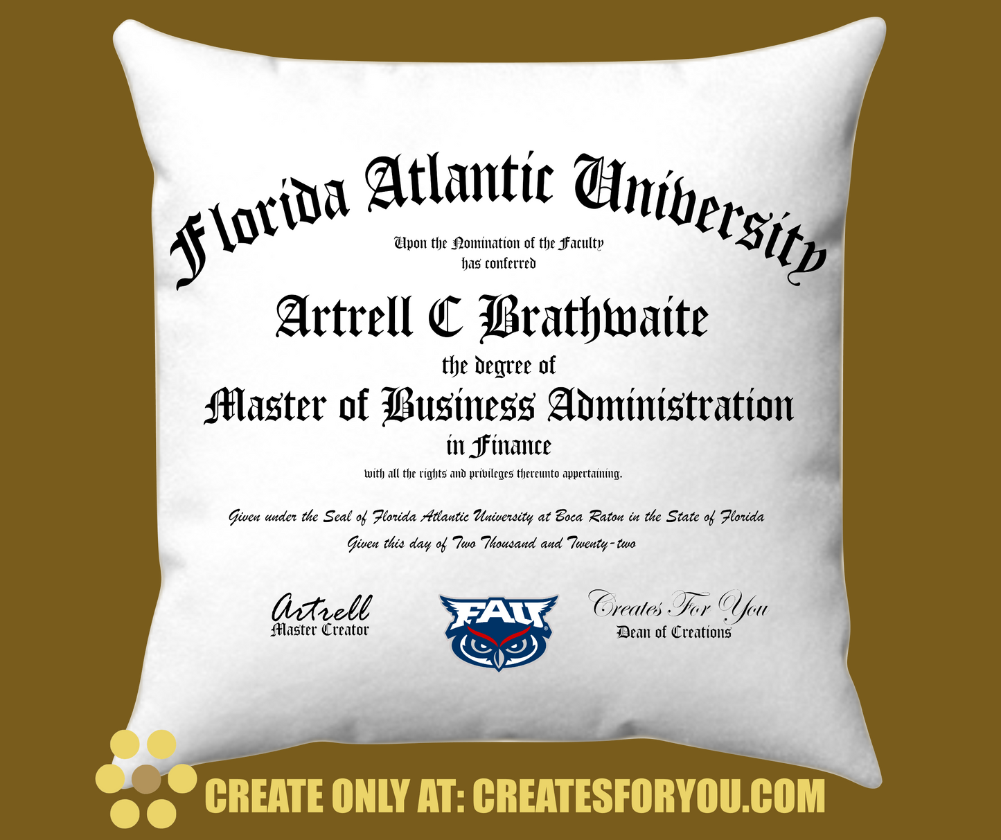 Graduation Pillow Gift-University College Degree Replica