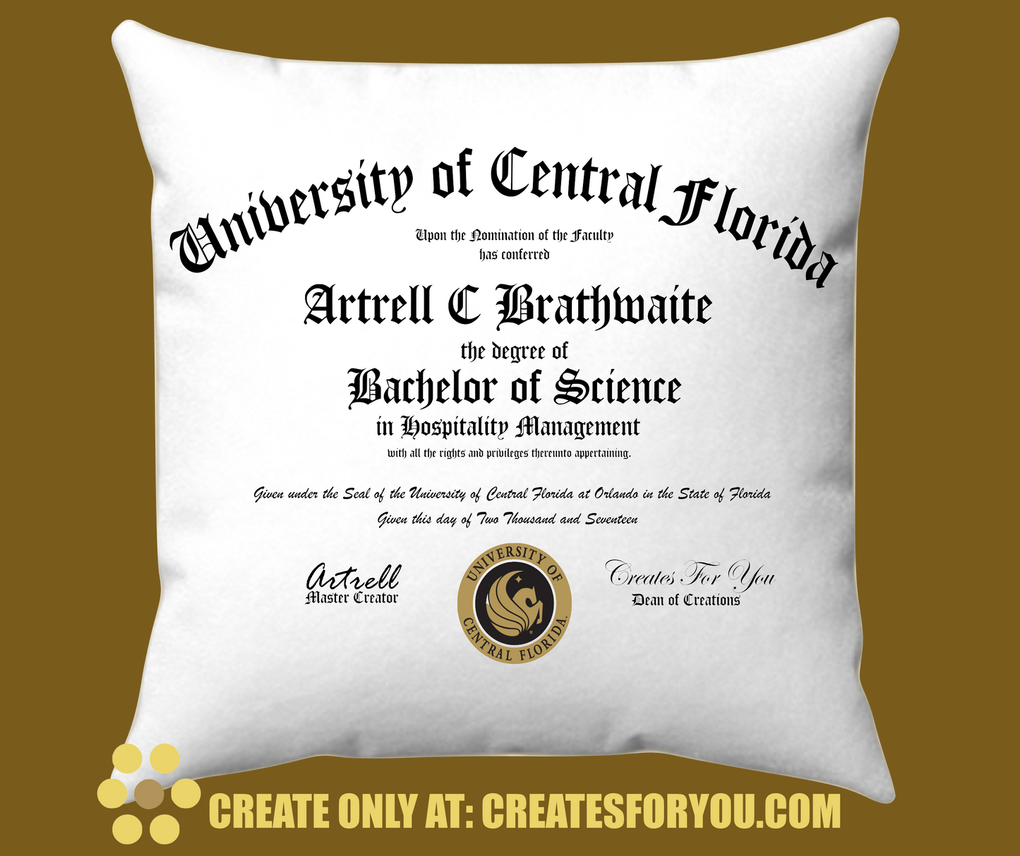 Graduation Pillow Gift-University College Degree Replica