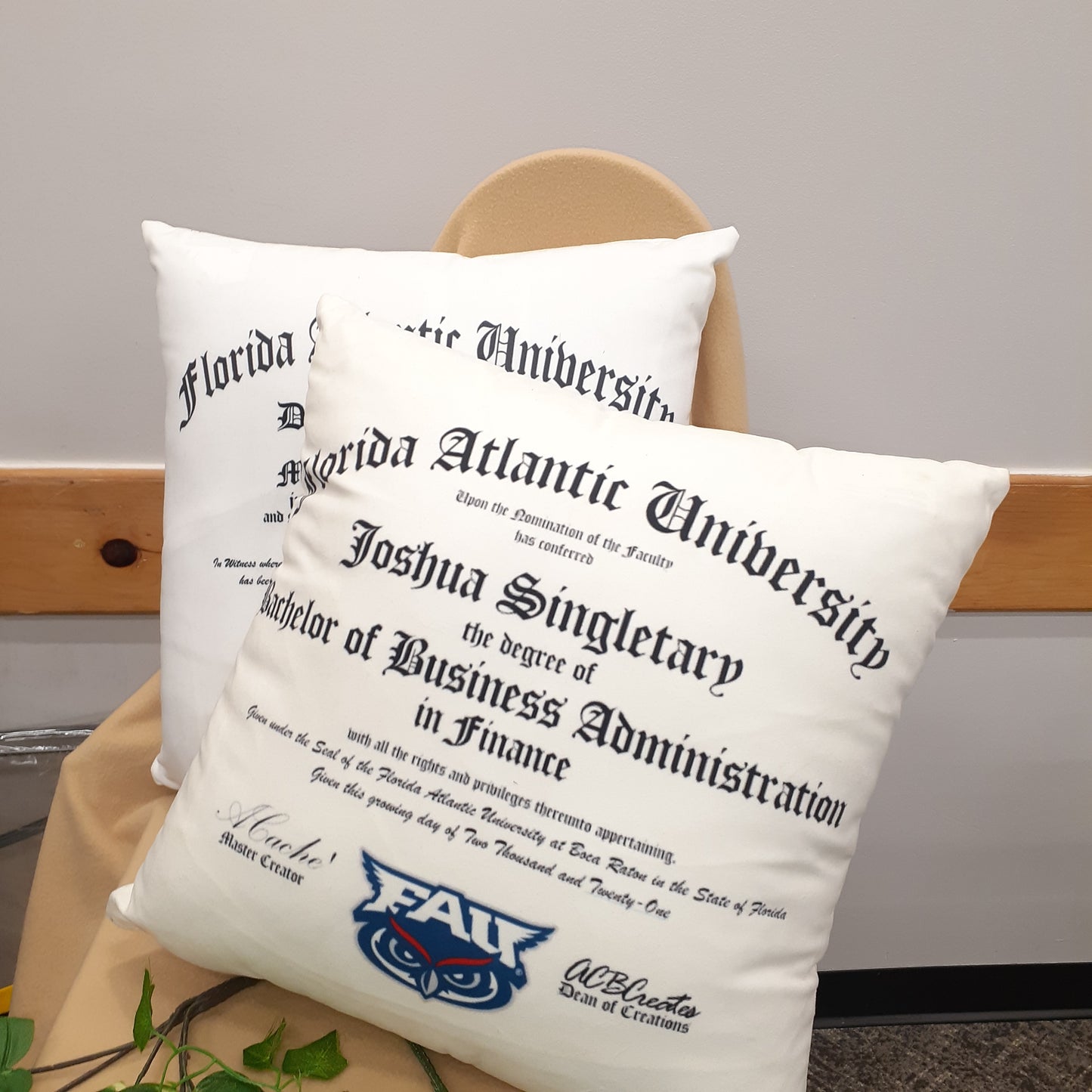 Graduation Pillow Gift-University College Degree Replica